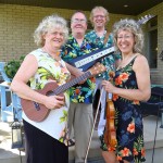 Hawaiian Band: Aloha Strings