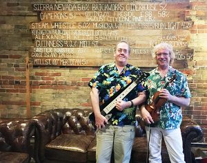 Aloha Strings - Violin & Slide Guitar Duo